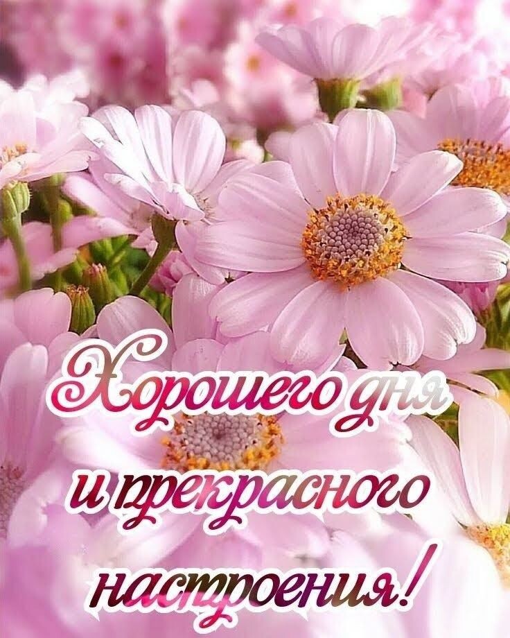 Из интернета для хорошего настроения 