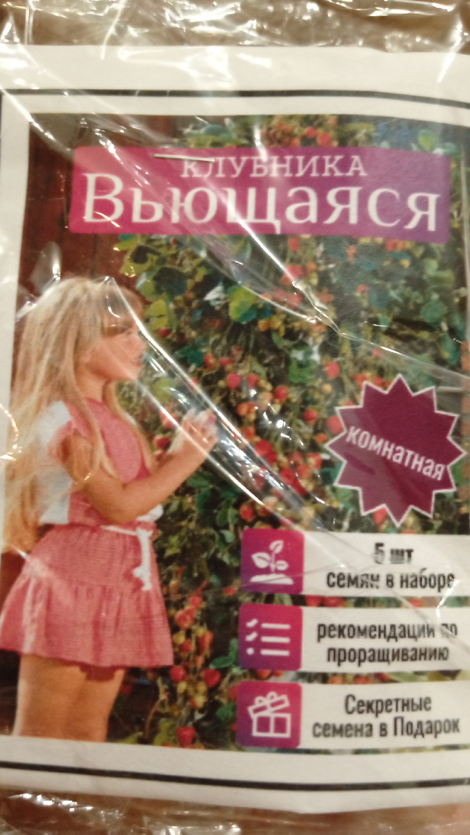  Секретные семена в подарок ,это микрозелень .Фото автора.
