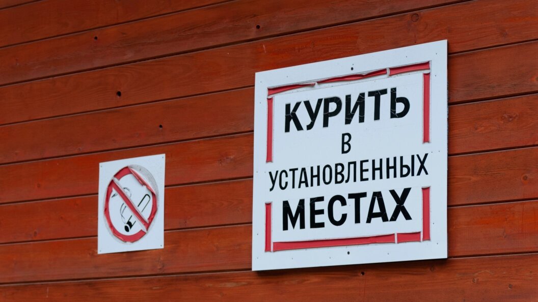    Фото: Svetlana Vozmilova/Globallookpress