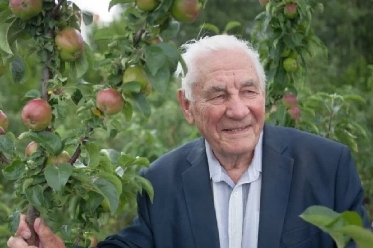    Под руководством Евгения Седова созданы 58 сортов яблони и 7 сортов груши.