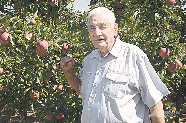    Евгений Седов. Фото: АиФ/ Мария Позднякова