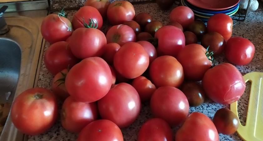    Фото Анастасии Дмитриевой