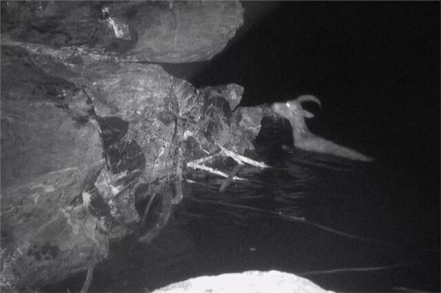    Фото: Государственный природный биосферный заповедник «Саяно-Шушенский»