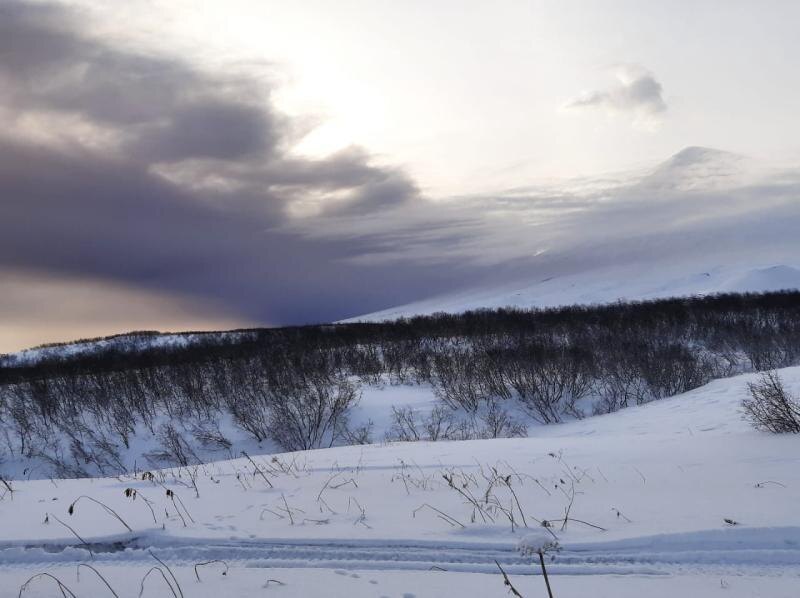 Пепловая туча вулкана Безымянный 26 ноября 2025 г. На переднем плане вулкан Ключевской. Фото В. Числёнкова в 20 км от п. Ключи.