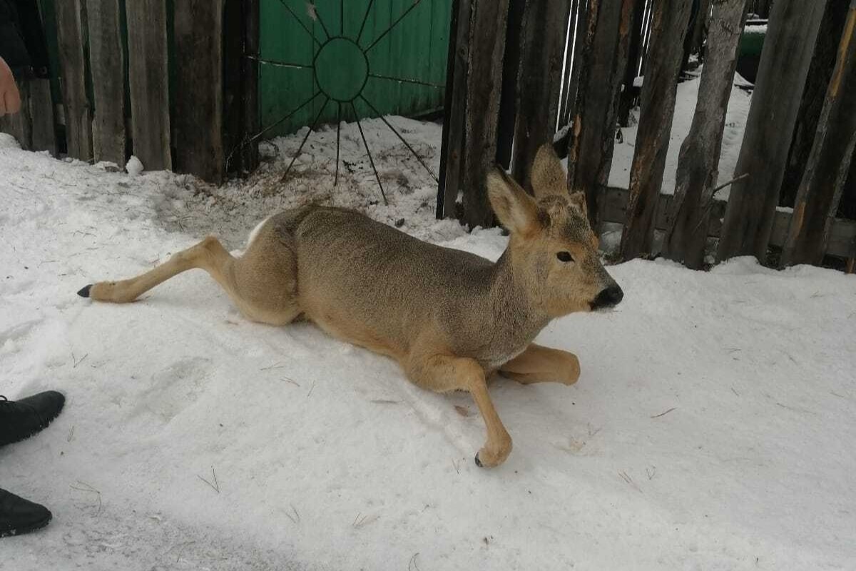    Фото: центр ГО, ЧС и ПБ НСО