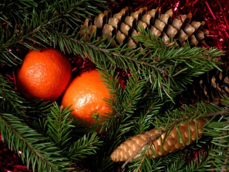 Новый год он хотел встретить именно с ней