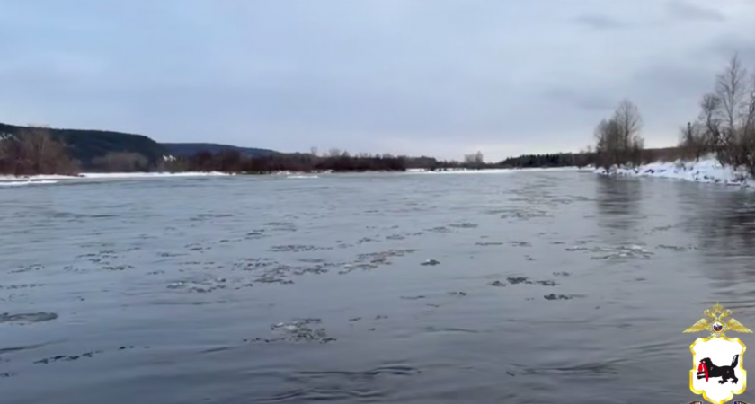    Фото: ГУ МВД по Иркутской области