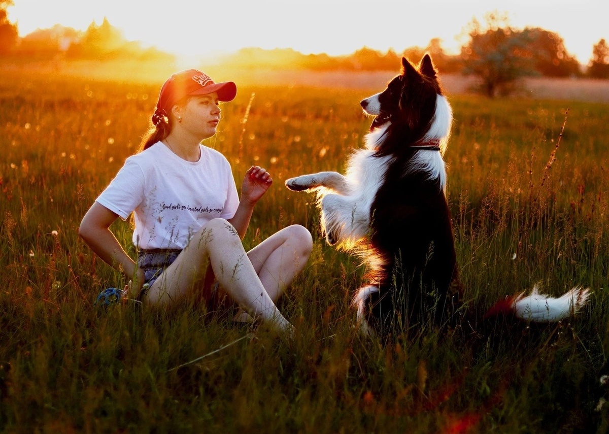 Екатерина со своей колли Бейли