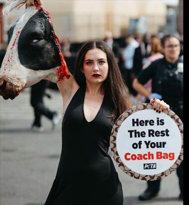 Источник: media.muckrack.com