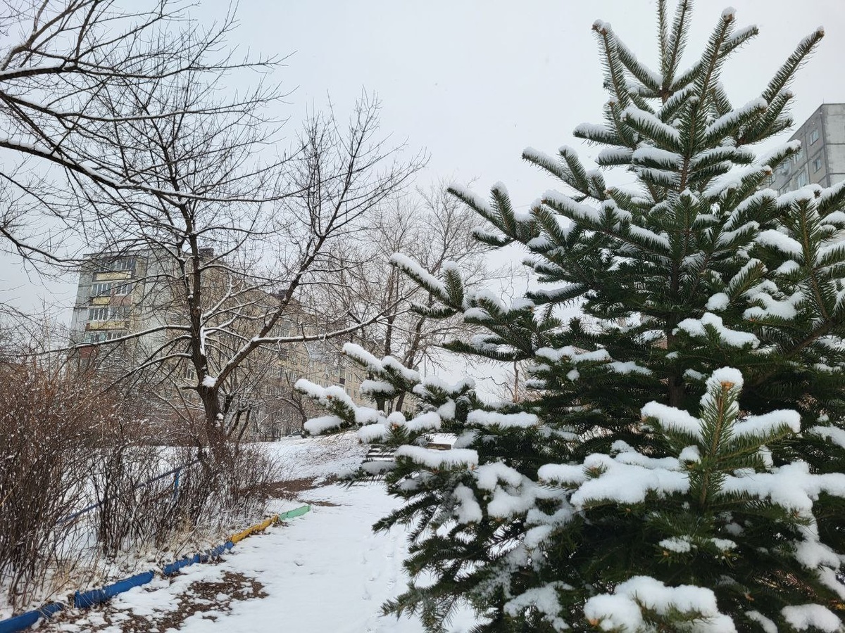 Синоптики предупредили о метелях и резком похолодании.  Фото: Фото: ФедералПресс / Анна Миронова