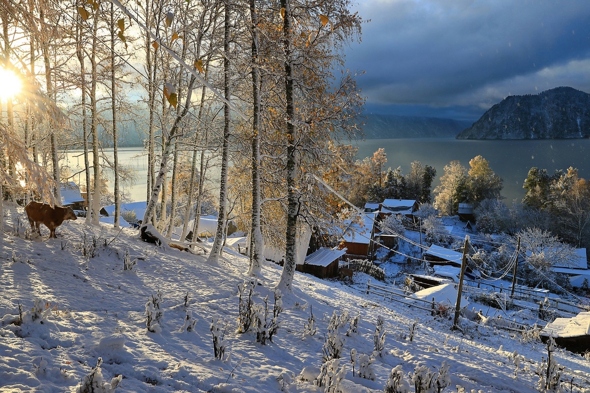 Заповедное Яйлю погружается в зимний сон. Автор фото Александр Лотов.