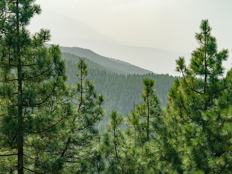 Фото: ru.freepik.com