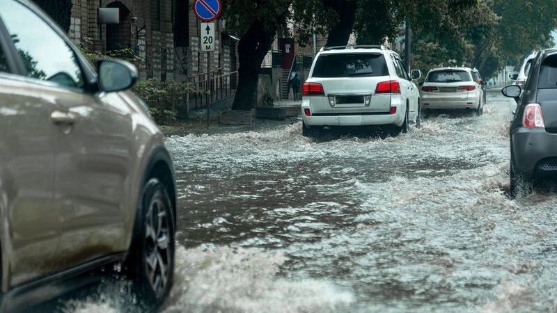    Фото: A_Lesik/Shutterstock/Fotodom