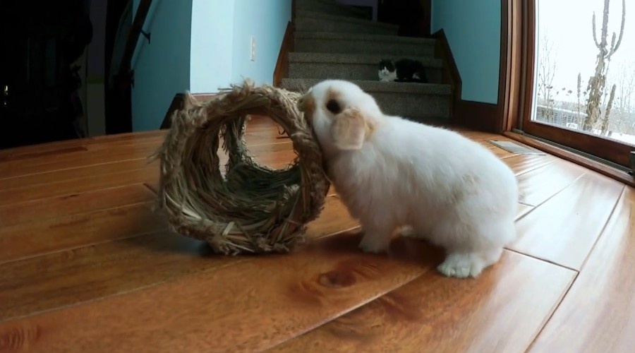 Тема занят любимым занятием.