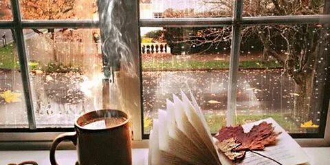 Яндекс Открытый источник 