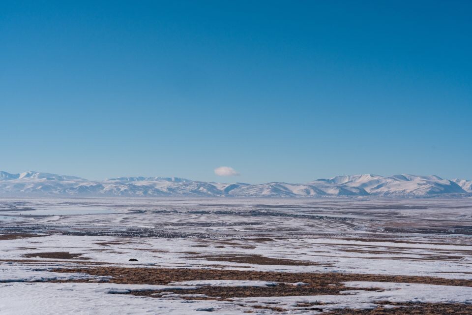    Кош-Агачский район. Республика Алтай. Источник: Андрей Сороко/"Толк"