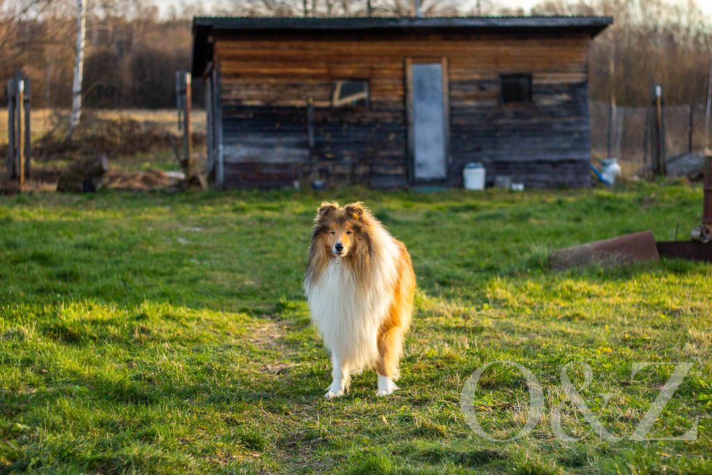 Фото автора