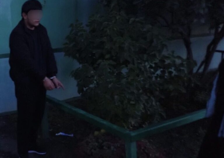 В Орске будут судить наркоторговца из Узбекистана