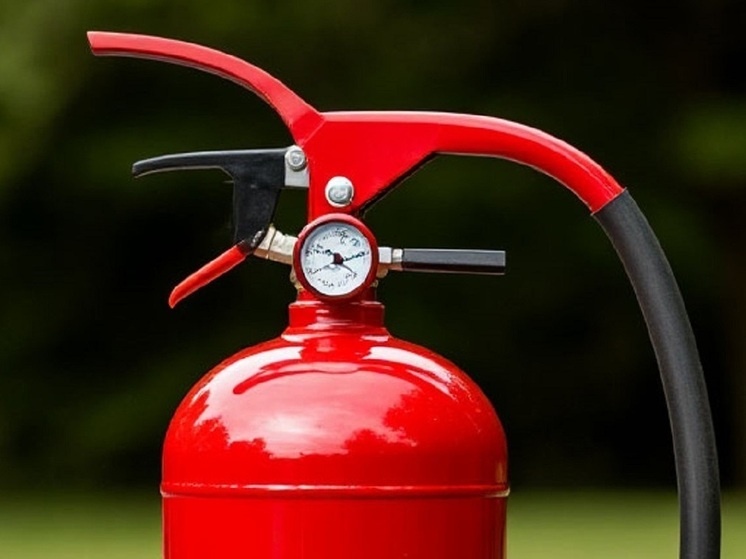     Фото: Шедеврум