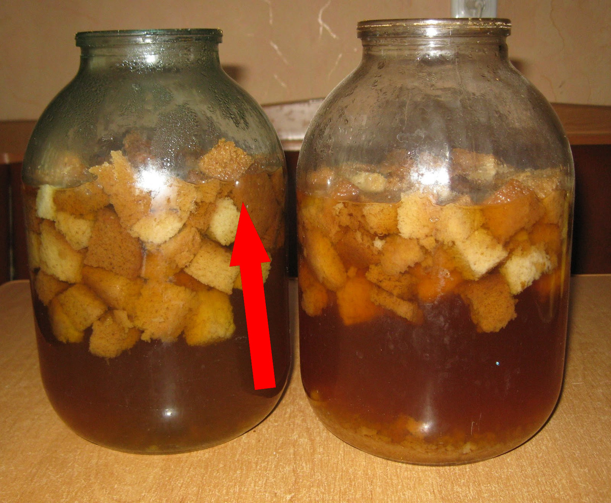    Этот забытый русский квас взорвал мой блог — свёкла и яблоки творят чудеса