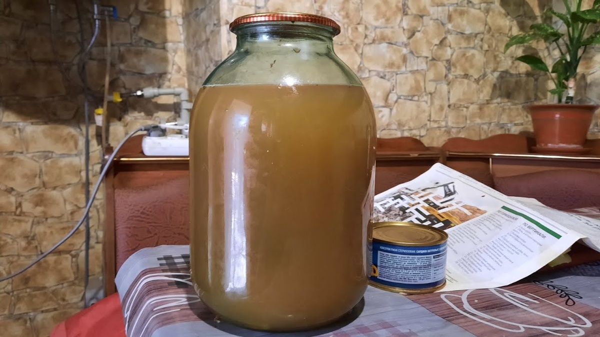    Этот забытый русский квас взорвал мой блог — свёкла и яблоки творят чудеса