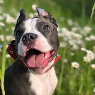 -В любой непонятной ситуации - улыбайся!