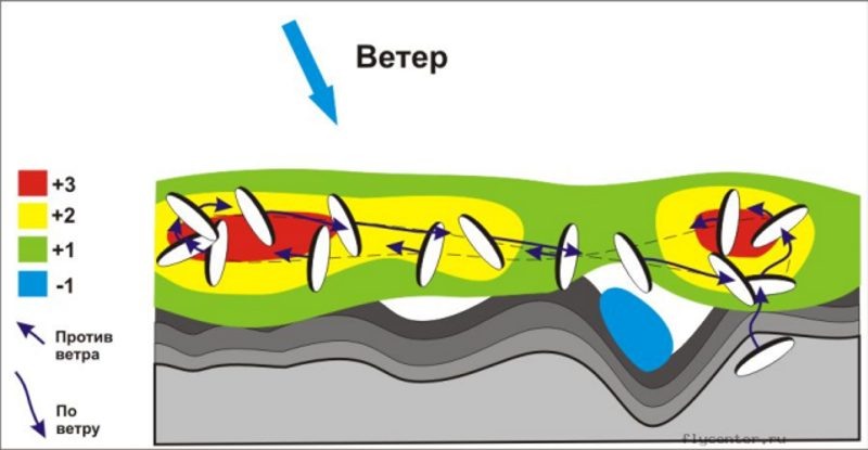 Схема полета в динамике на параплане