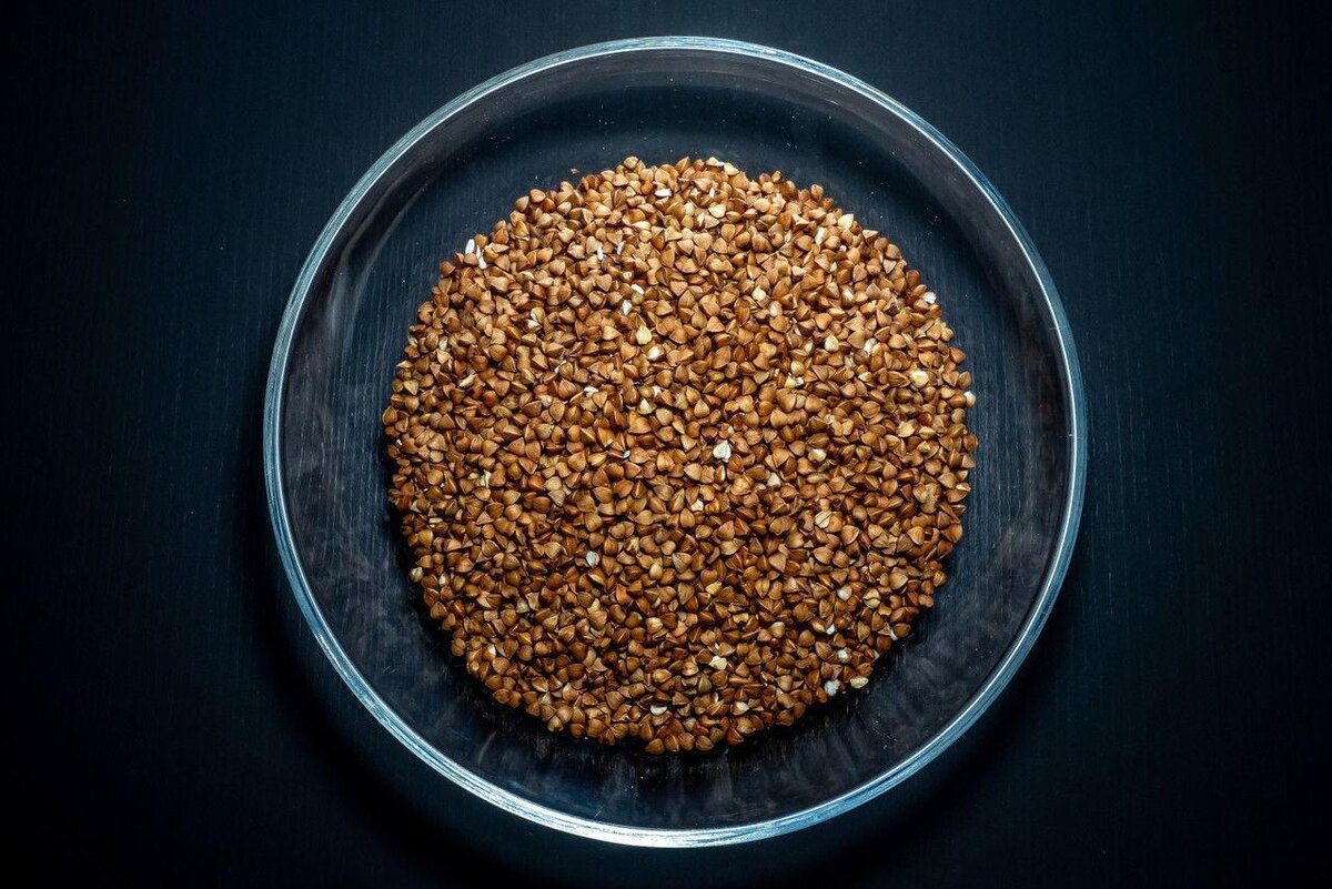 Фото: Олег Золото/«Петербургский дневник»
