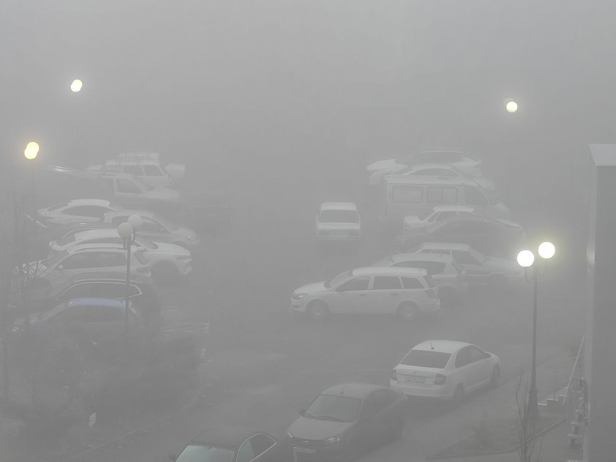    Фото: Юрий Серебренников/BFM Кубань