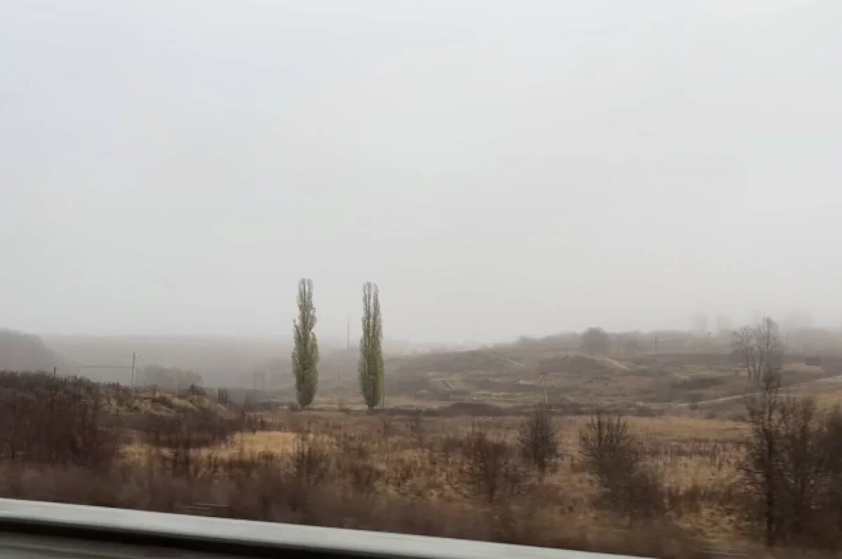    Из-за тумана снижена видимость на дорогах Краснодара
