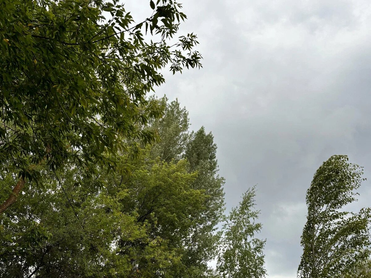 Фото: Самара-ГИС