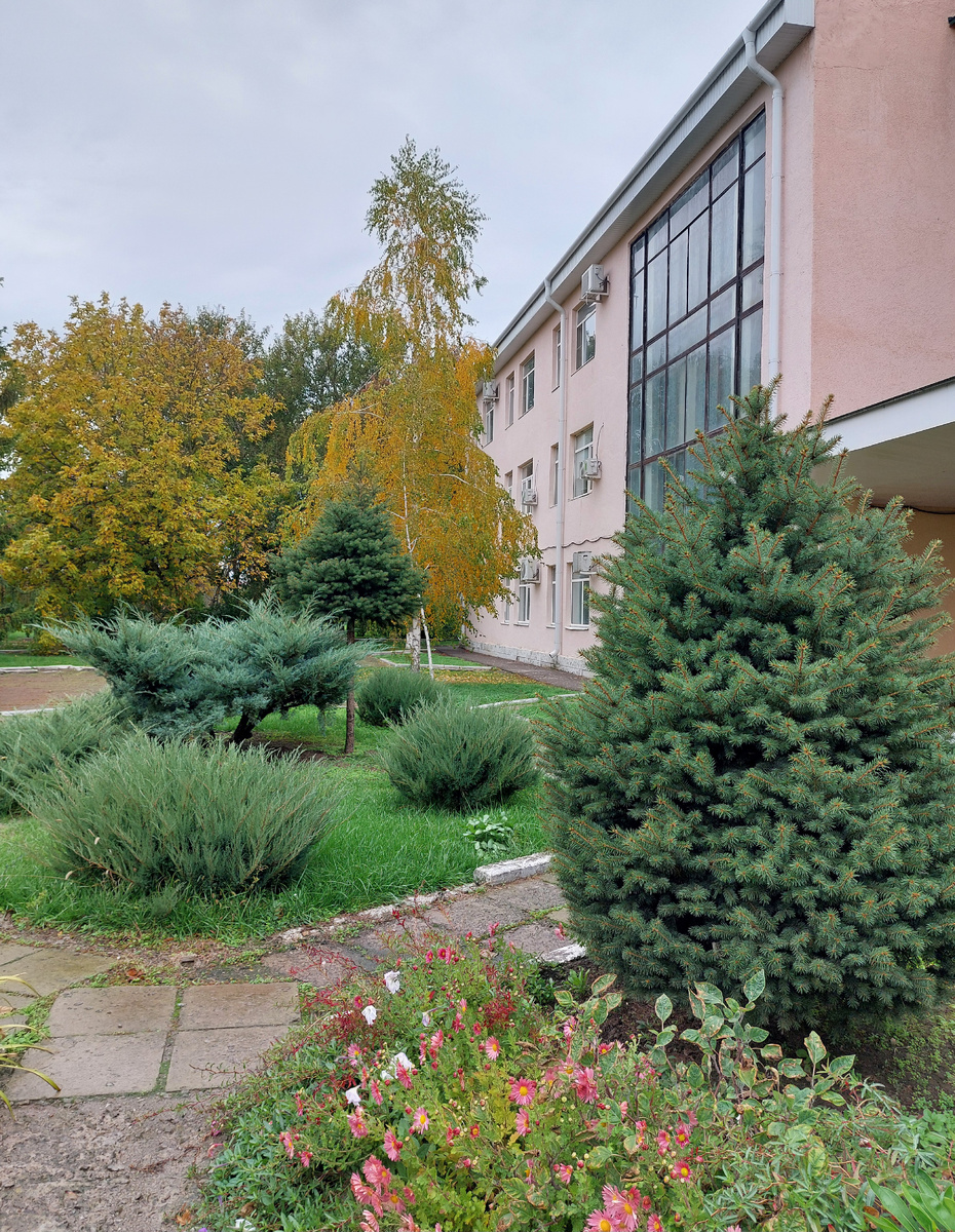 Наш Дворец культуры