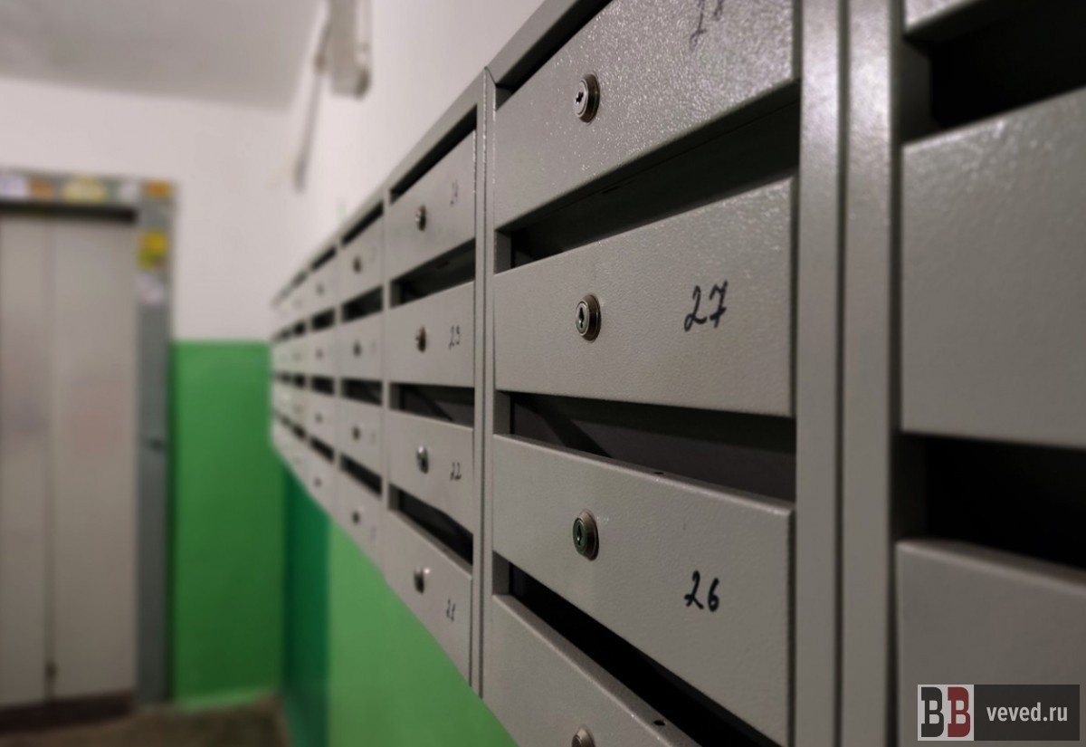     Фото: Юлия Медведева / Вечерние ведомости