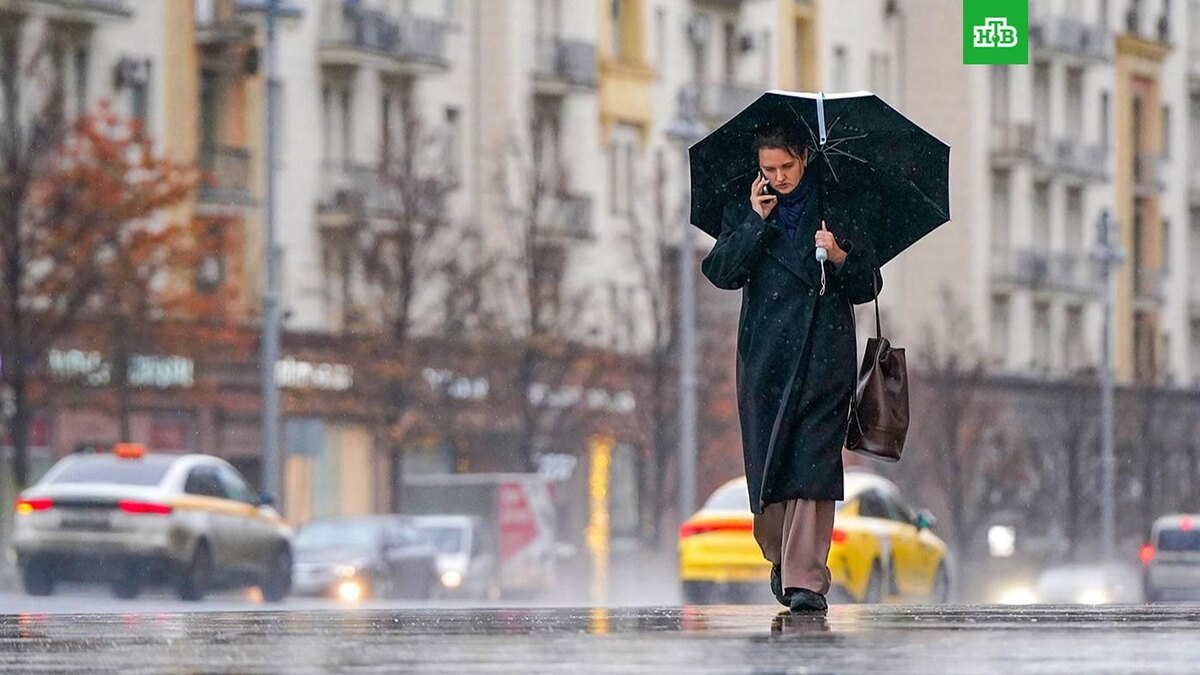    Фото: Евгений Самарин \ mos.ru