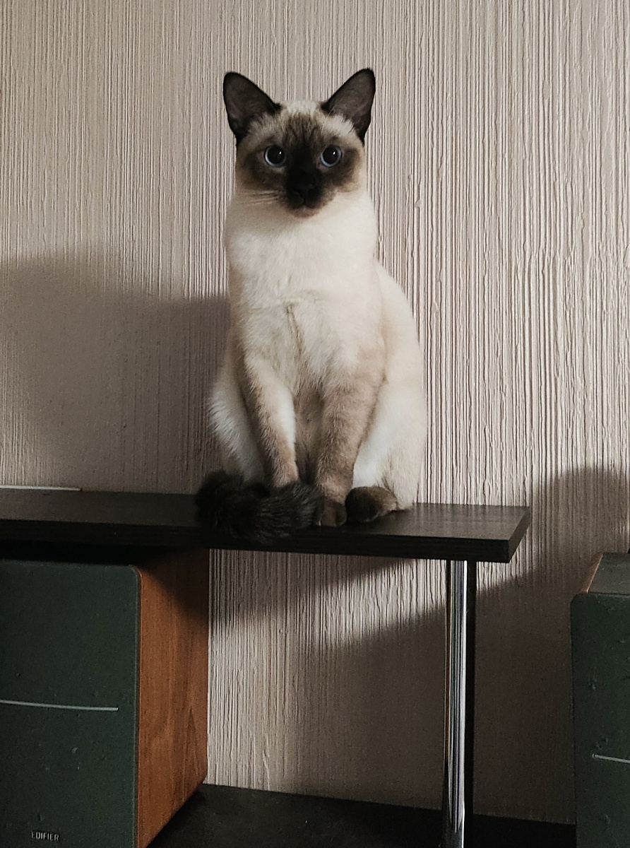 Наблюдательный пункт Афины