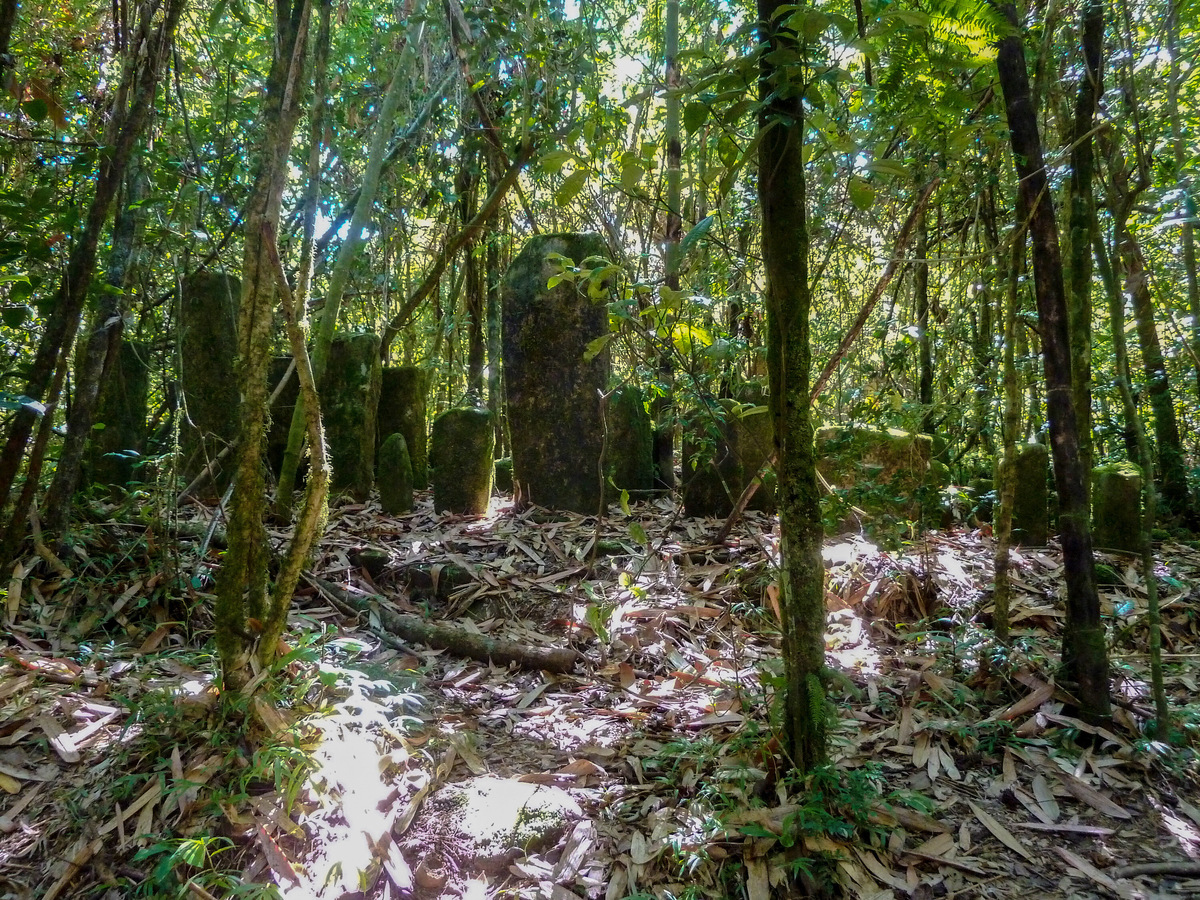 В парке встречаются старые захоронения местного народа с надгробиями в виде каменных плит. Фото: User:Hardscarf / Wikimedia