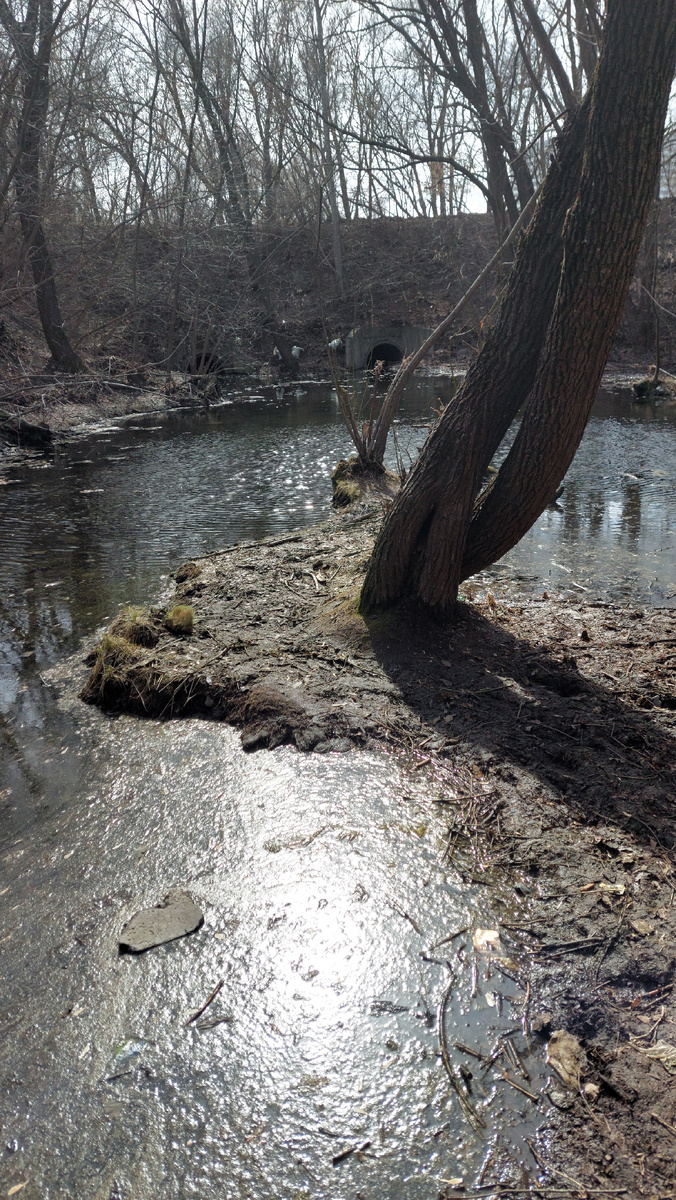 Маришкин родник. гУльяновск. Фото автора 