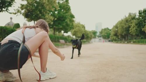 Тот момент, когда ты просто зовешь собаку по кличке «Помогите», а прохожие уже вызывают спецназ.