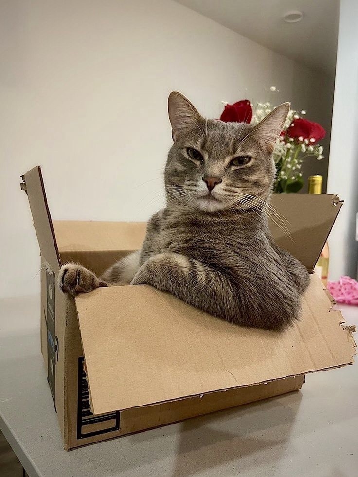 иллюстрация из яндекс картинки.