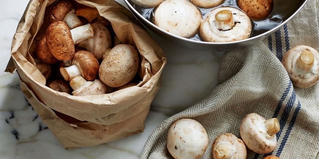 Как правильно мыть грибы: развеиваем мифы о чистке лесных даров