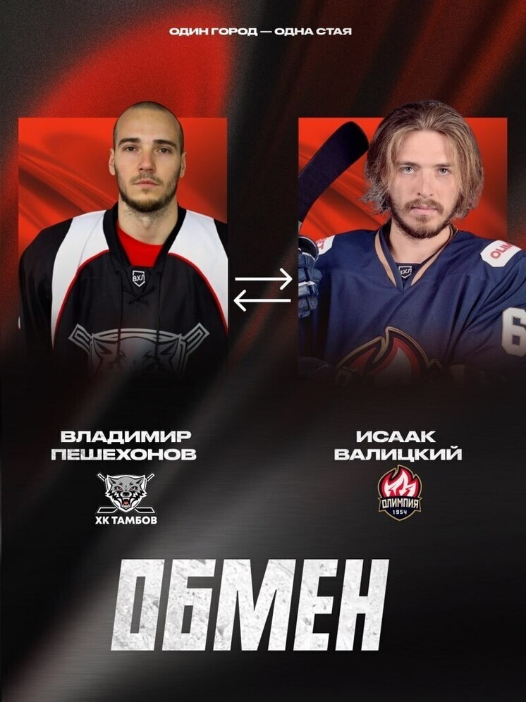     Источник: ХК "Тамбов"