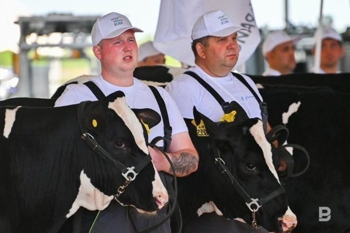   Максим Платонов / realnoevremya.ru