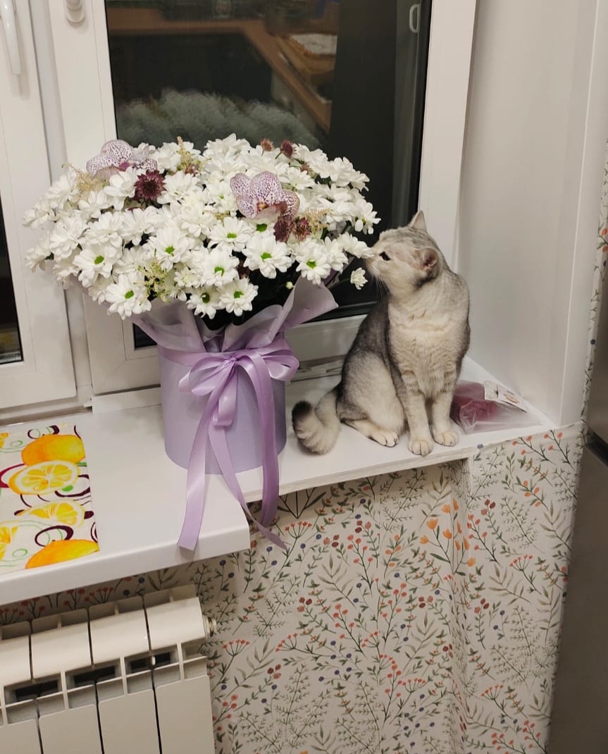 Ах, как вкусно пахнут цветочки! Спасибо, что мне подарили!