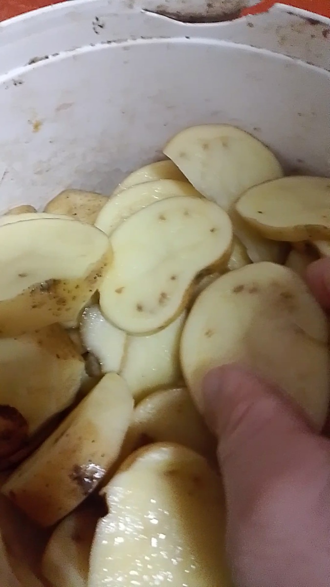 Вот так выглядит картоха