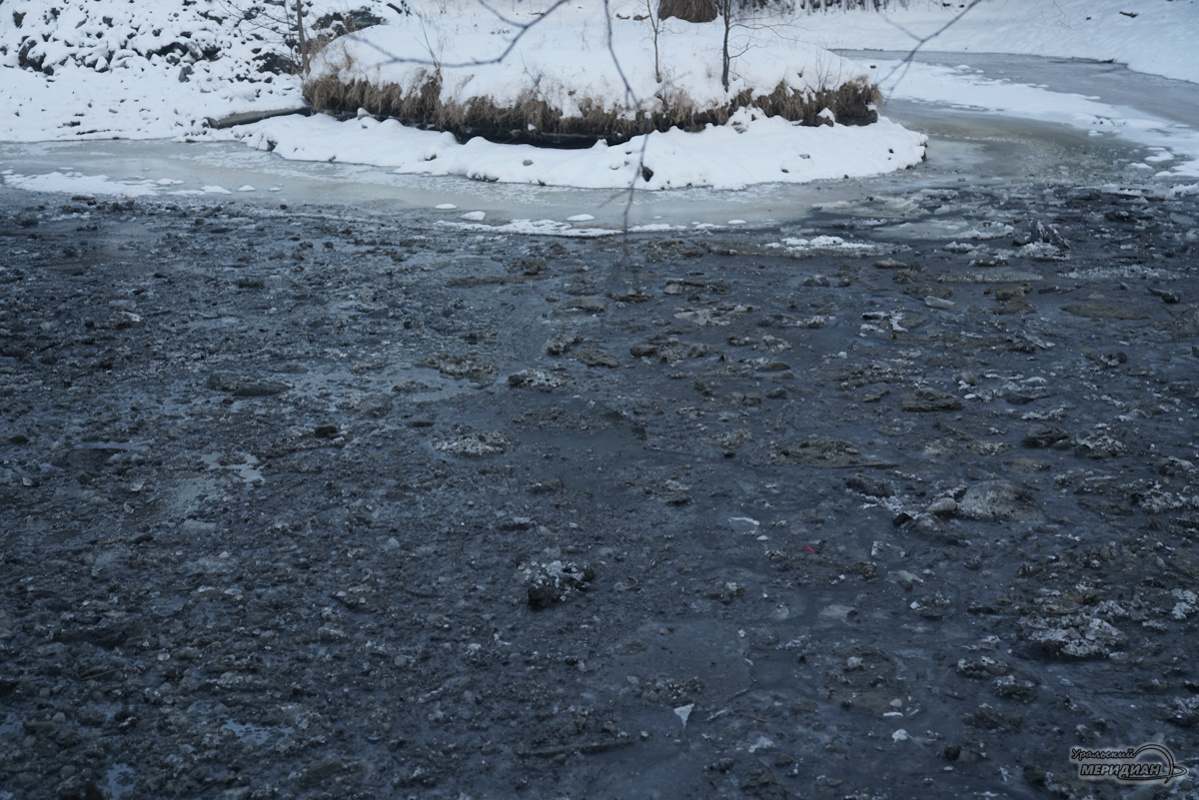    Фото: Лидия Аникина © ИА «Уральский меридиан»