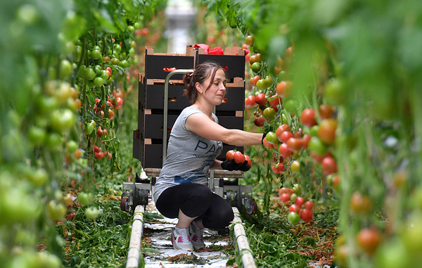 Виктор Драчев/ТАСС