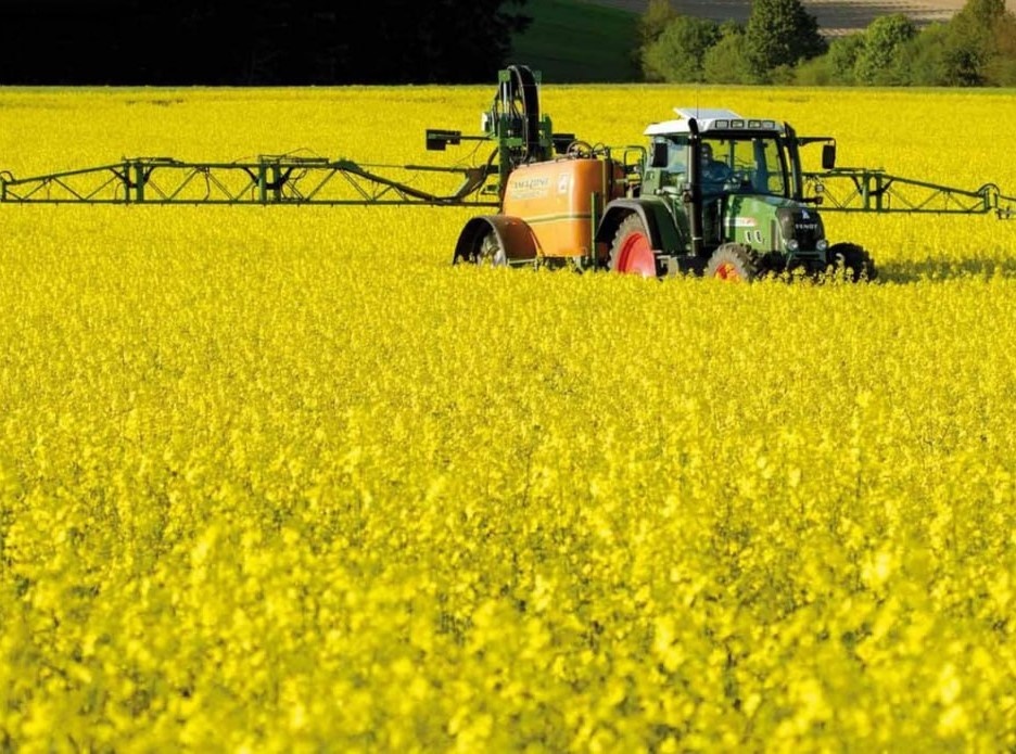    Фото пресс-службы Корпорации развития Енисейской Сибири