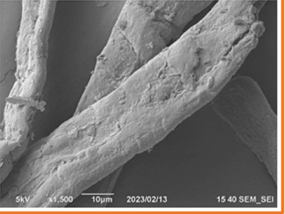    Снимок микрофибриллированной целлюлозы / © Пресс-служба Губкинского университета