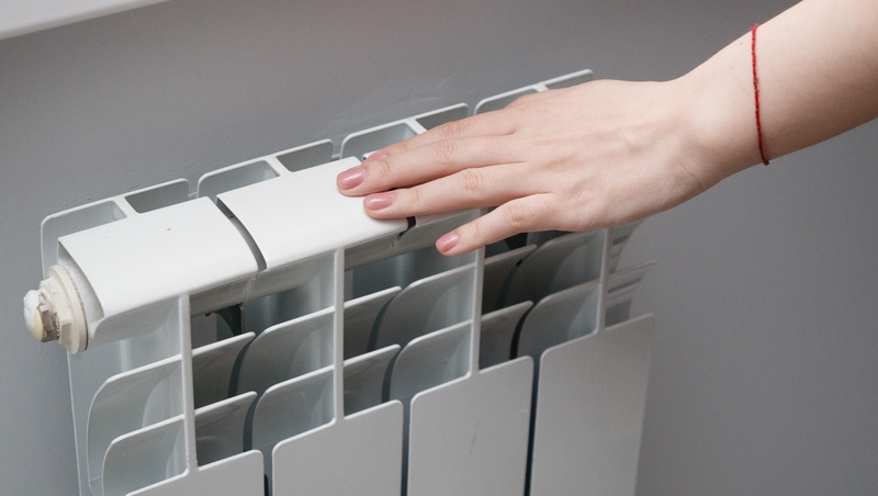      Фото: ИА «Победа26»