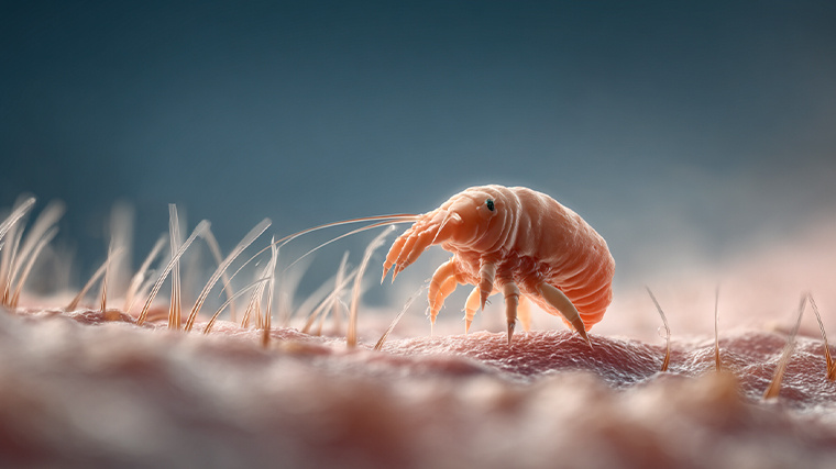    Опасны ли шапки: причины облысения и выпадения волос. Фото: 5-tv.ru